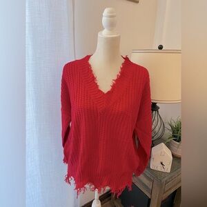 NWOT Pink Lily v-neck sweater